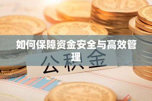小金如何保障资金安全与高效管理