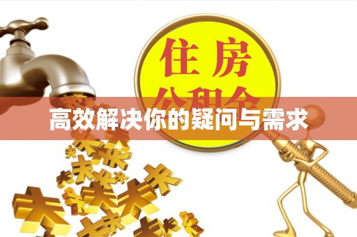 小金高效解决你的疑问与需求