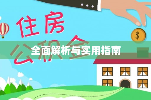 小金全面解析与实用指南