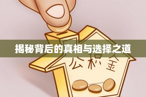 小金揭秘背后的真相与选择之道