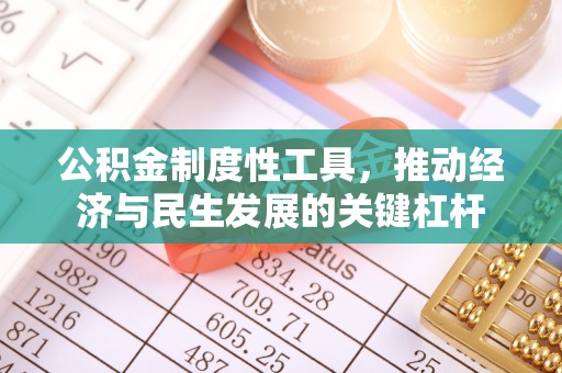 小金公积金制度性工具，推动经济与民生发展的关键杠杆