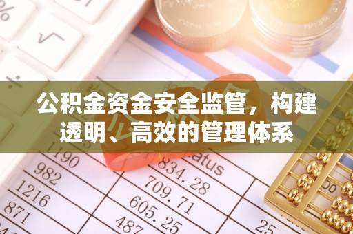 小金公积金资金安全监管，构建透明、高效的管理体系