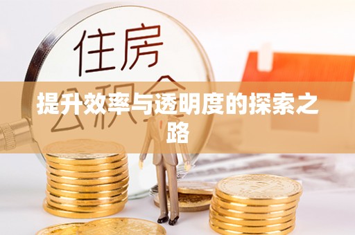 小金提升效率与透明度的探索之路