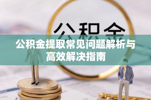 小金公积金提取常见问题解析与高效解决指南