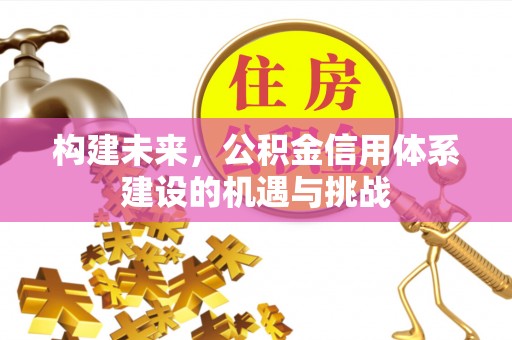 小金构建未来，公积金信用体系建设的机遇与挑战