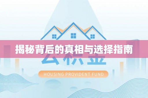 小金揭秘背后的真相与选择指南