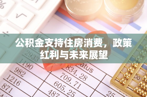 小金公积金支持住房消费，政策红利与未来展望