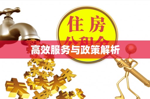 小金高效服务与政策解析