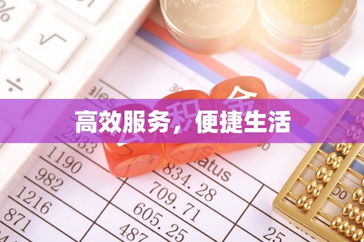 小金高效服务，便捷生活