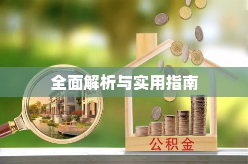 小金全面解析与实用指南